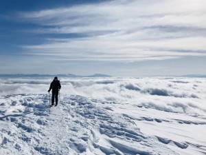 IMG_9320