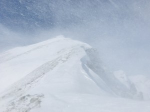 IMG_9349