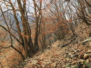 IMG_9392