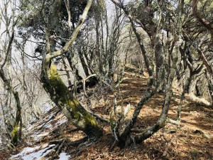 IMG_9406