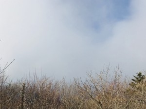 IMG_9408