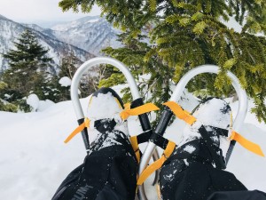 IMG_9431