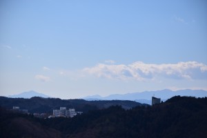 DSC_0971