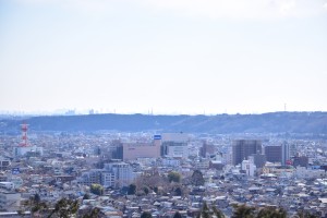 DSC_0973