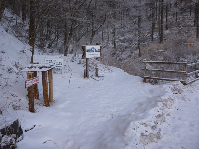P1020376