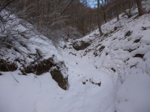 P1020379