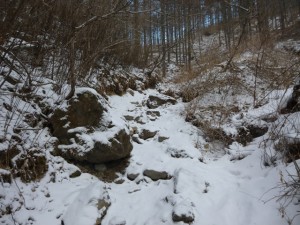 P1020380