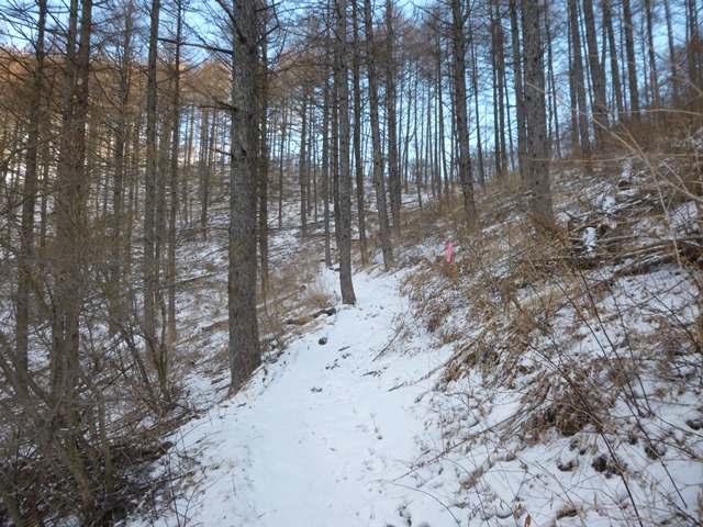 P1020386