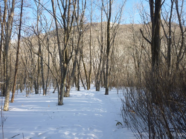 P1020394