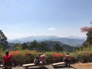 IMG_2613