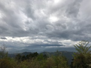 IMG_2868