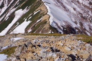 ８