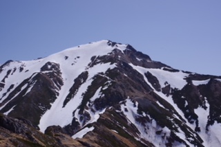 ７