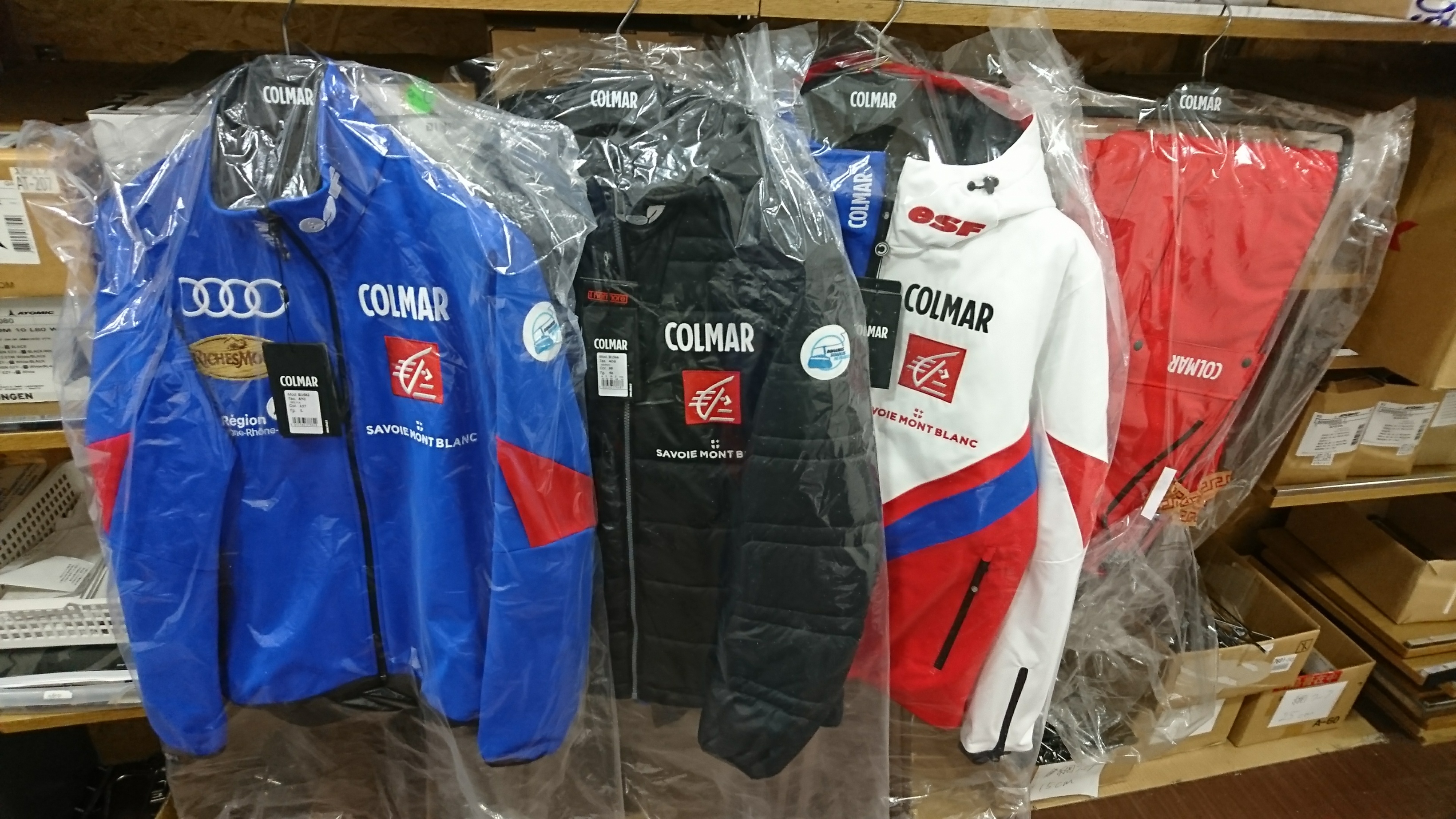 コルマー只今入荷！！