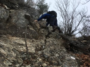 IMG_4198