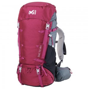 MIS0594_7810_0