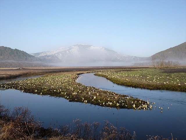 RP1030367