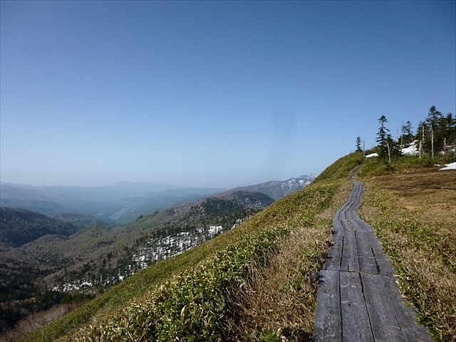 RP1030434