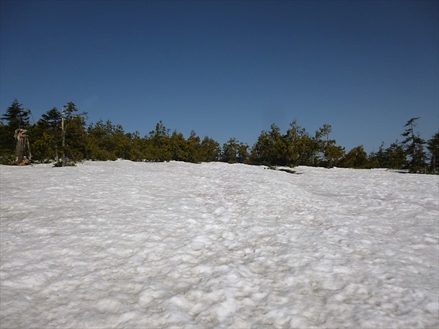 RP1030438