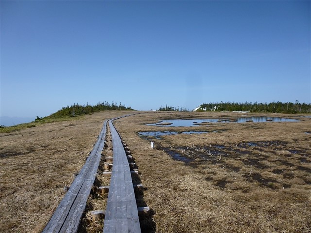 RP1030441