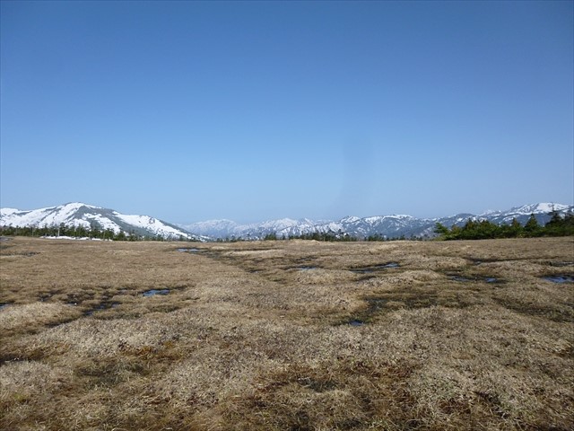 RP1030442