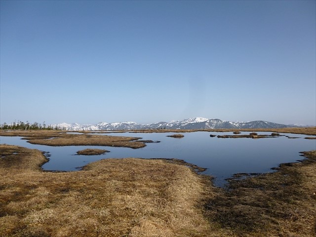 RP1030443