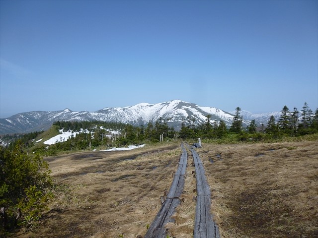 RP1030447