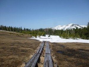 RP1030459