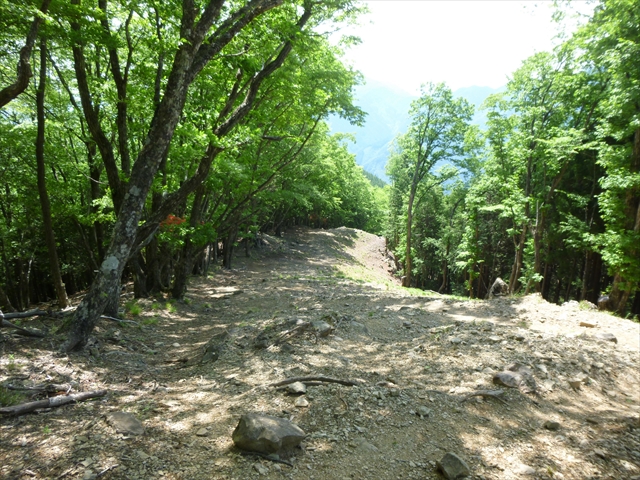 RP1030655
