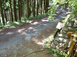 RP1030674