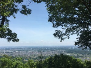 景色new_IMG_6939