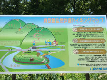 看板new_IMG_6920
