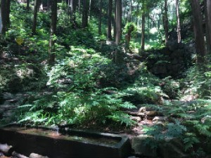 水場new_IMG_6928