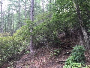 IMG_0712
