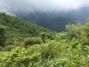 IMG_0718