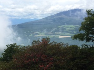 IMG_0724