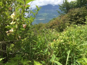 IMG_0725