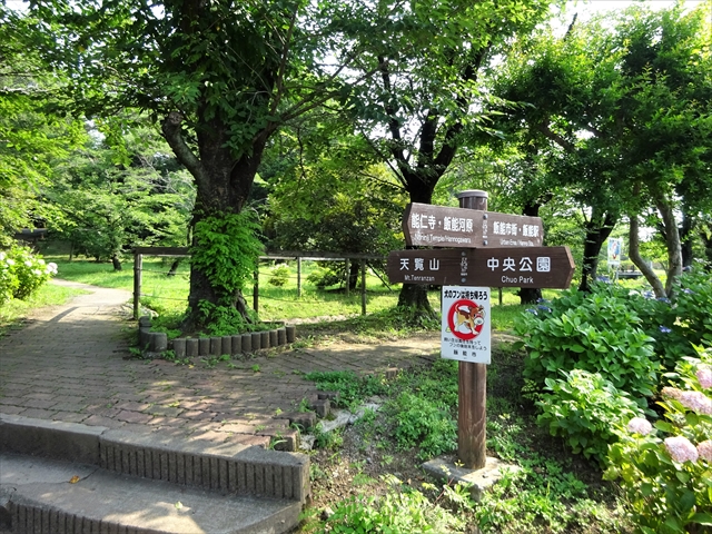 RDSC00477