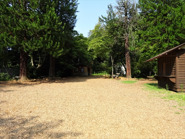RDSC00494