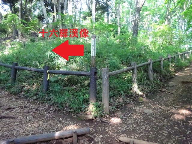 RDSC00500