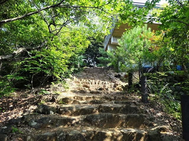 RDSC00518