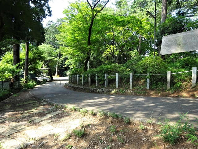 RDSC00576