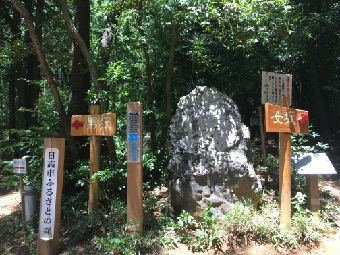 分かれ目new_IMG_6926