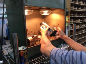 IMG_5401