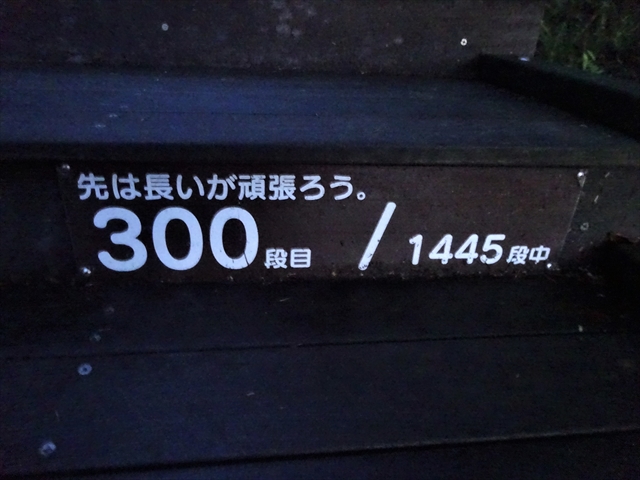 RDSC00719