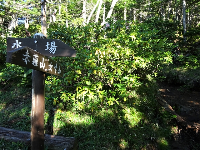 RDSC00842