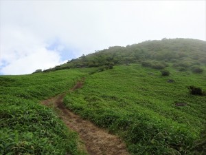 RDSC00963