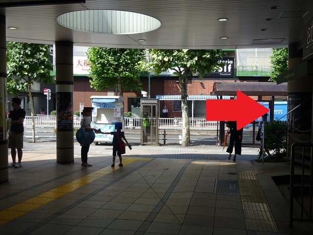 RDSC01050