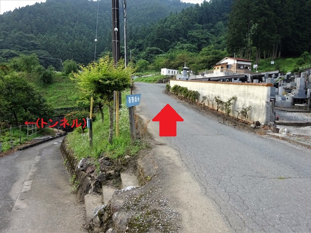 RDSC01105