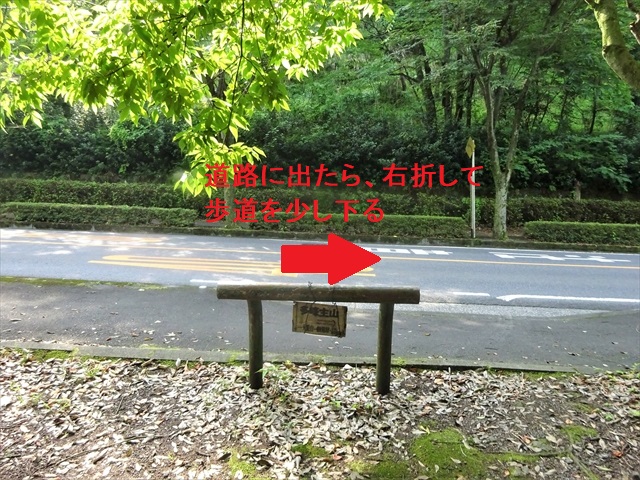 RDSC01178